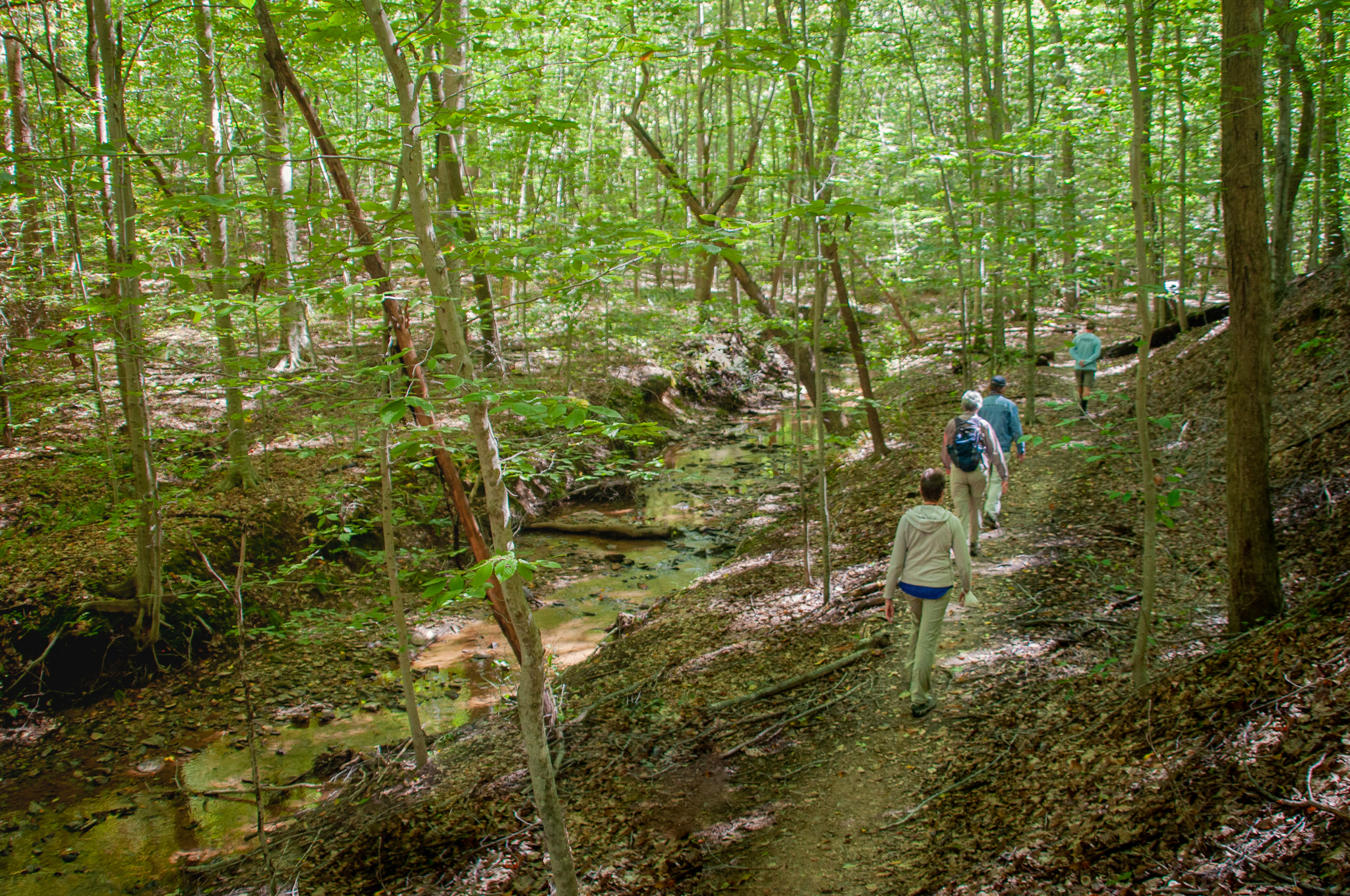 Please Donate to Give Local Piedmont for Little Fork Preservation